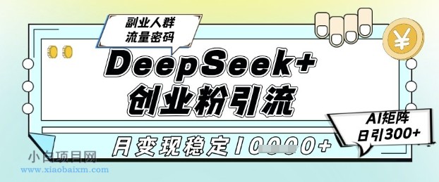 DeepSeek+创业粉精准引流,全新分享课4.0玩法,AI矩阵日引300+,多种变现方式,稳定月入1W