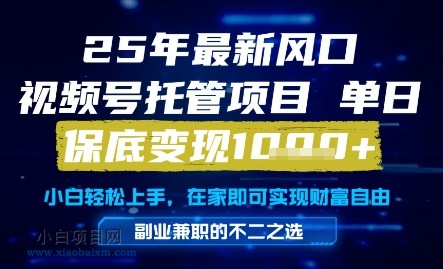25年最新风口,视频号托管项目,单日保底变现1k+,手把手教学【揭秘】