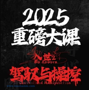 2025重磅大课,入世2,驾驭与控制