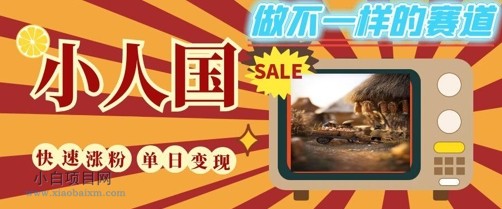 DeepSeek+绘图+视频制作小人国微观视频,小白轻轻松松上手,条条爆款,条条变现,单日就能收益