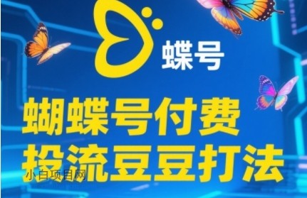 2025蝴蝶号付费投流豆豆打法，助新手快速掌握付费流量撬动自然流的核心玩法-小白项目分享网