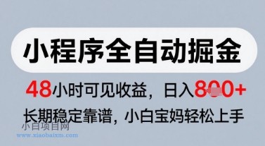 微信小程序全自动掘金,快速见收益,长期稳定靠谱,零基础友好,日入8张【揭秘】