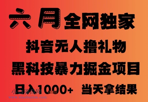 25年6月抖音无人直播最新暴力撸音浪掘金，小白可做，可批量矩阵放大，长期稳定日入1k+【揭秘】-小白项目分享网