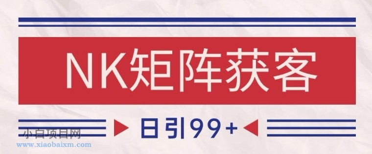 小红书某音NK赛道引流获客 自热矩阵日引200+【揭秘】