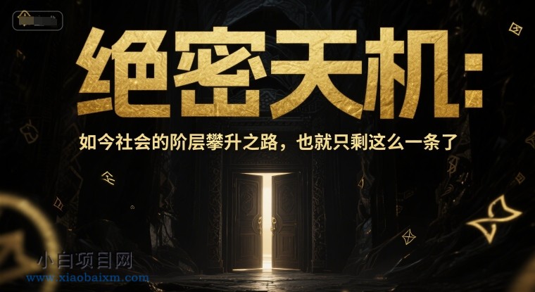 付费文章:绝密天机:如今社会的阶层攀升之路,也就只剩这么一条了