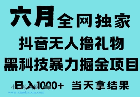 25年6月高爆抖音无人直播最新撸音浪掘金项目,门槛低小白可做,无脑日入1k,可矩阵放大【揭秘】