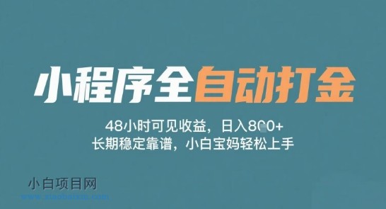 小程序全自动打金，48小时可见收益，日入多张，长期稳定靠谱，小白宝妈轻松上手【揭秘】-小白项目分享网