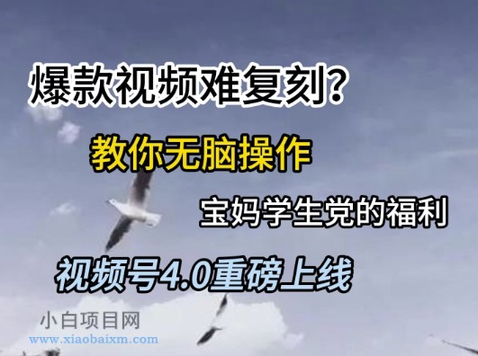 视频号4.0重磅上线，爆款视频难复刻？教你无脑操作宝妈学生党的福利【揭秘】-小白项目分享网