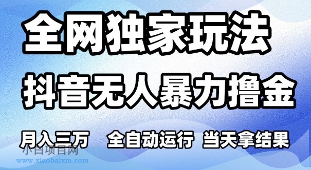 全网独家玩法,抖音无人暴力撸金,月入3W,全自动运行,当天拿结果,可矩阵【揭秘】