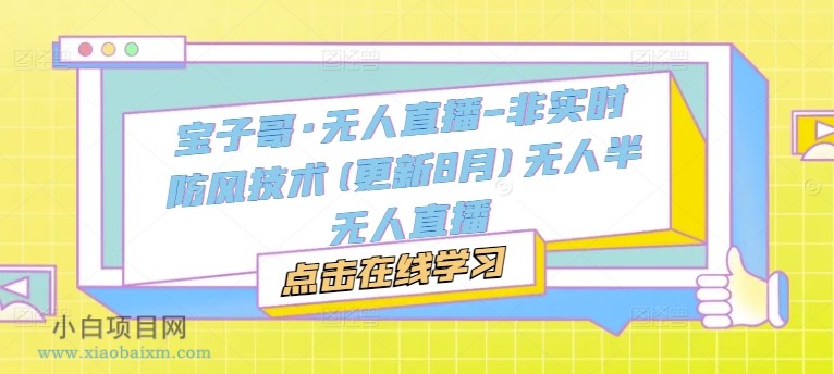 宝子哥·无人直播-非实时防风技术(更新25年6月)无人半无人直播-小白项目分享网