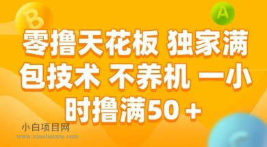 零撸天花板，独家满包技术 不养机 一小时撸满50+【揭秘】-小白项目分享网