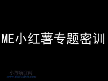 ME小红薯专题密训-小红书电商教程-小白项目分享网