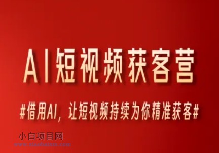 AI短视频获客营，借用AI，让短视频持续为你精准获客-小白项目分享网