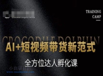 AI+短视频带货新范式，全方位达人孵化课-小白项目分享网