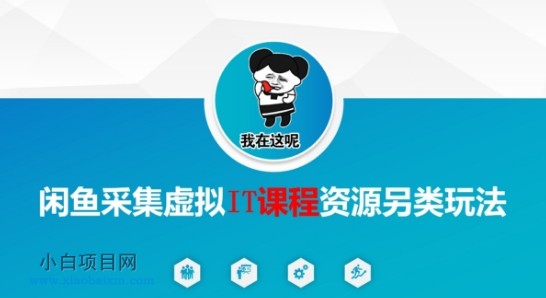 闲鱼采集虚拟IT课程资源另类玩法,干货满满