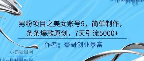 男粉项目之美女账号5，简单制作，条条爆款原创，7天引流5000+-小白项目分享网