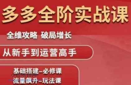 拼多多全阶实战课程,全维攻略,破局增长,从新手到运营高手