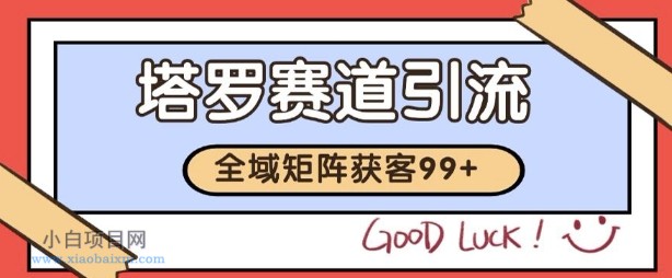 小红书某音塔罗赛道引流获客 自热矩阵日引200+【揭秘】
