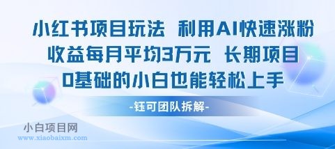 适合小白操作的小红书新项目，利用AI快速涨粉，收益每月平均1W+-小白项目分享网