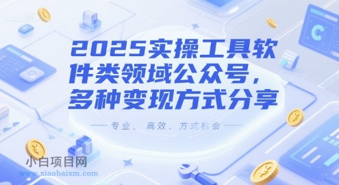 2025实操工具软件类领域公众号,多种变现方式分享