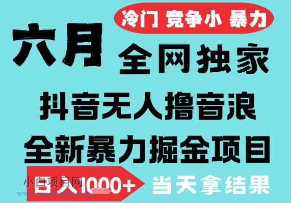 2025年6月高爆抖音无人直播最新撸音浪掘金项目，无脑日入1k+，低门槛小白可做，可矩阵放大【揭秘】-小白项目分享网