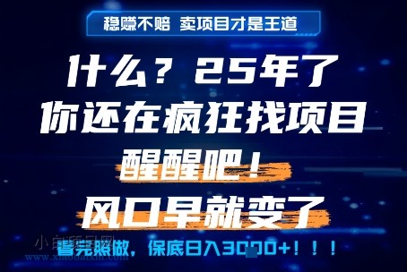 什么？25年你还在疯狂找项目做，醒醒吧，看完这些你全都懂了！【揭秘】-小白项目分享网