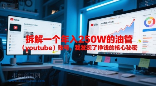 付费文章：拆解一个年入250W的油管（youtube）账号，我发现了挣钱的核心秘密-小白项目分享网