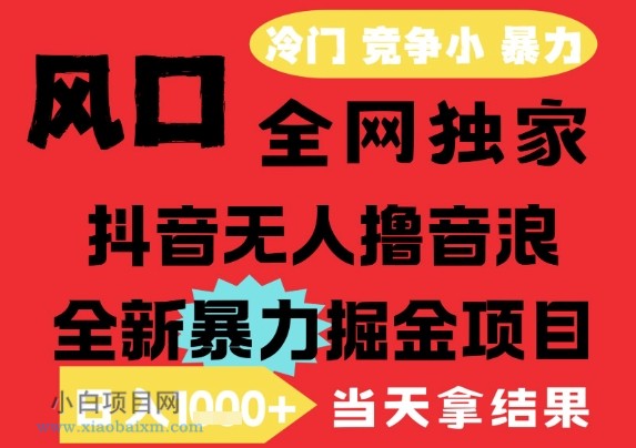 25年6月高爆抖音无人直播最新撸音浪掘金项目,解放双手小白可做,无脑日入1k+,门槛低【揭秘】