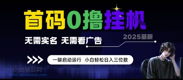 首码0撸挂G项目，无需实名无需看广告 一键启动运行，小白轻松日入三位数【揭秘】-小白项目分享网