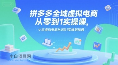 拼多多全域虚拟电商从零到1实操课,小白虚拟电商从0到1实操到精通