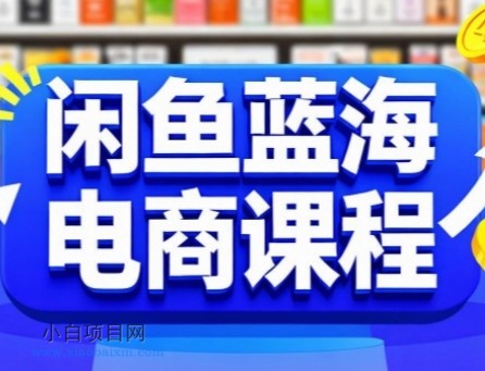 闲鱼蓝海电商课程,手把手助你快速上手,轻松实现闲鱼稳定盈利