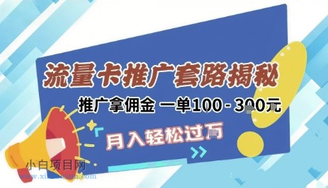 2025年外面卖1500的流量卡项目最新玩法，绿色无门槛对新手非常友好，日入3张+-小白项目分享网