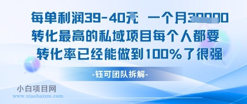 每单利润40一个月7k+转化最高的私域项目，每个人都要的产品转化率已经能做到100%-小白项目分享网