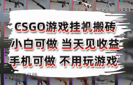 CSGO游戏挂G搬砖,小白纯手机即可操作,不用电脑打游戏,日入3张+,副业网创项目【揭秘】
