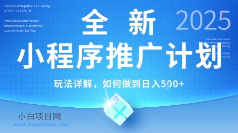 2025年最新小程序推广计划，简单操作，独家技术，日均5张+【揭秘】-小白项目分享网