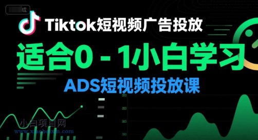 Tiktok短视频广告投放，适合0-1小白学习ADS短视频投放课-小白项目分享网