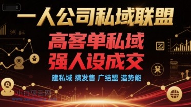 一人公司私域联盟,高客单私域,强人设成交,建私域 搞发售 广结盟 造势能