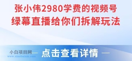 张小伟2980付费额视频号绿幕直播给你们拆解玩法-小白项目分享网