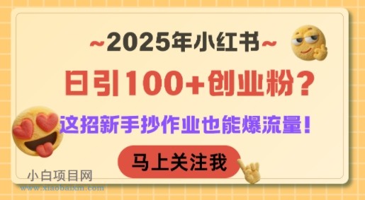 2025年小红书日引100+创业粉？这招新手抄作业也能爆流量！-小白项目分享网