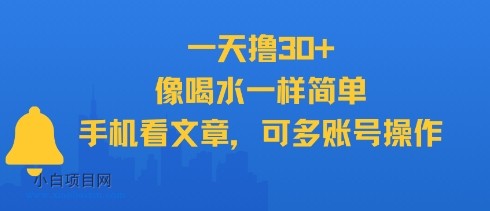 一天撸30+，像喝水一样简单，手机看文章，可多账号操作-小白项目分享网