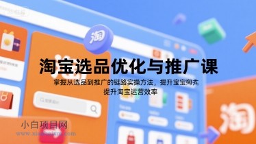 淘宝选品优化与推广课，掌握从选品到推广的全链路实操方法，提升淘宝运营效率-小白项目分享网