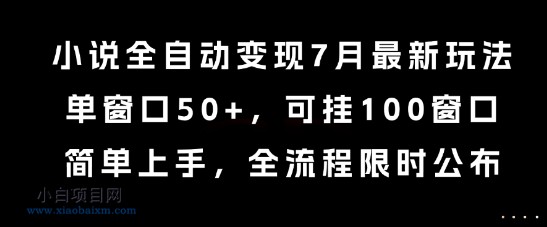 小说全自动变现7月玩法，单窗口50+，可挂100窗口，简单上手，全流程限时公布【揭秘】-小白项目分享网