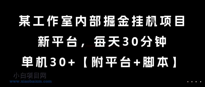 某工作室内部掘金挂G项目,新平台,每天30分钟,单机30+【揭秘】