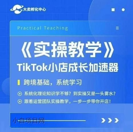 大卖家孵化中心TikTok实操课，TikTok小店成长加速器，跨境基础系统学习，一步一步带你开店-小白项目分享网