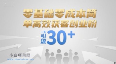 零基础零成本简单高效获客创业粉，一天引流30+-小白项目分享网