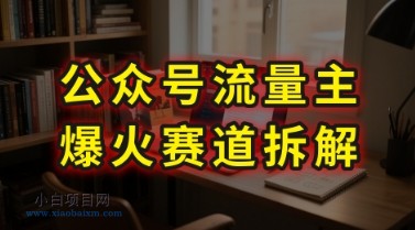 AI公众号流量主爆火赛道拆解—剧评领域，86分钟干货分享-小白项目分享网