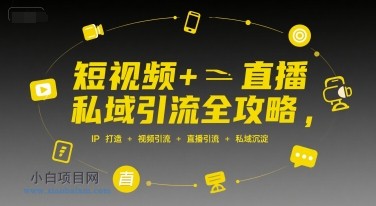 短视频+直播私域引流全攻略,IP打造 +视频引流 +直播引流 +私域沉淀