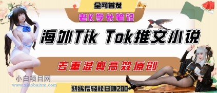 海外tiktok小说推文暴力项目,高停留率,高转化率,上手后一天搞顿饭钱不是问题