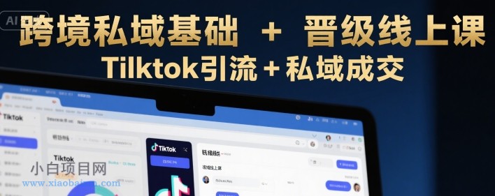 跨境私域基础+晋级线上课,Tilktok引流+私域成交