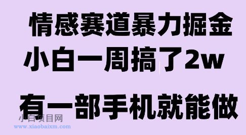 情感暴力掘金项目,新人操作一周挣了2W,长期稳定小白可做【揭秘】